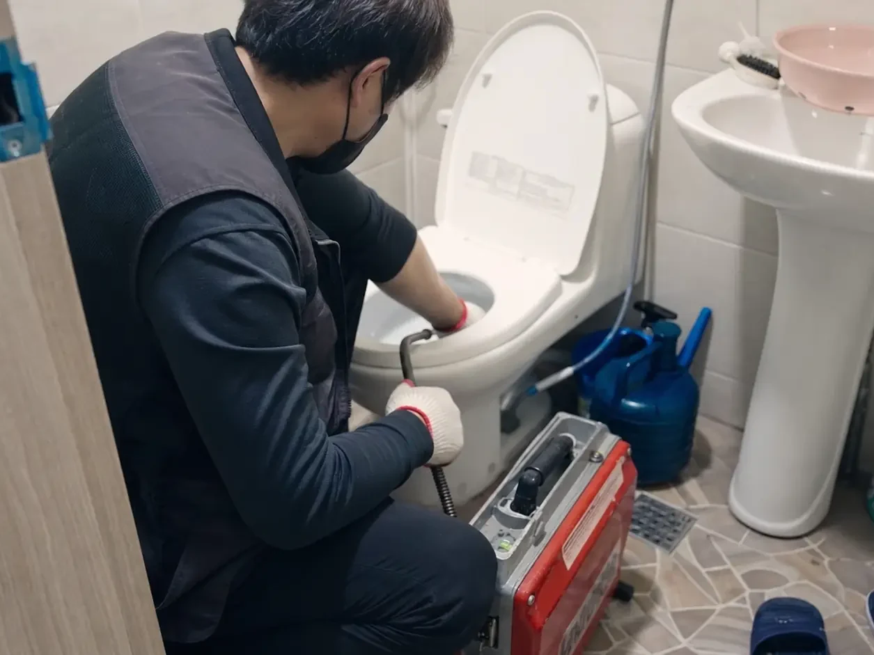 당일방문